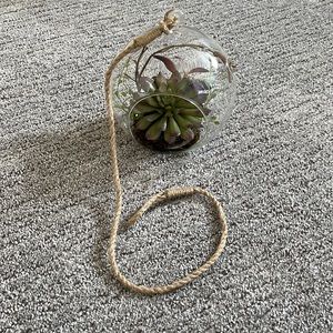 Crate& Barrel Hanging Terrarium